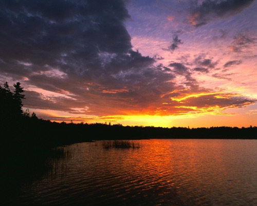 Sunrise, Horse Lake, Bruce Penninsula, Ontario (MF).jpg